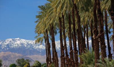 La Quinta, California